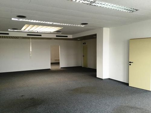  privat vermieten mit Makler in    Korneuburg