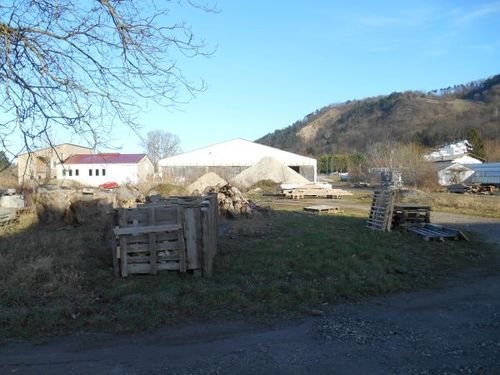  privat vermieten mit Makler in    Langenzersdorf