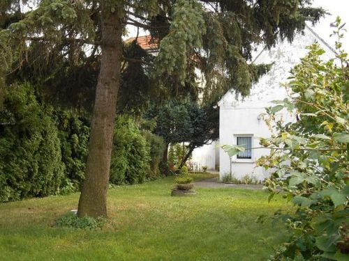 privat vermieten mit Makler in Ameis (0)