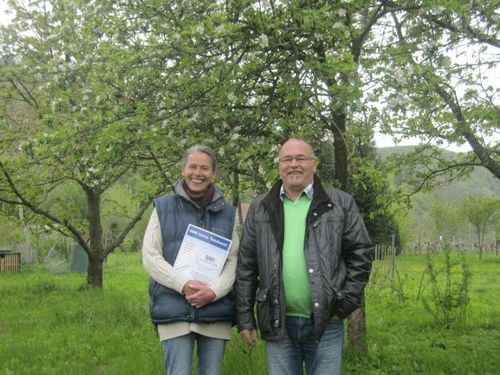  privat verkaufen mit Makler in    Zöbing