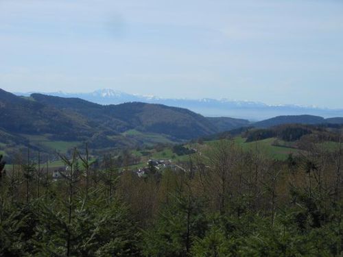  privat verkaufen mit Makler in    Raxendorf