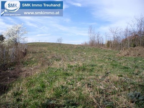 privat verkaufen mit Makler in Vösendorf