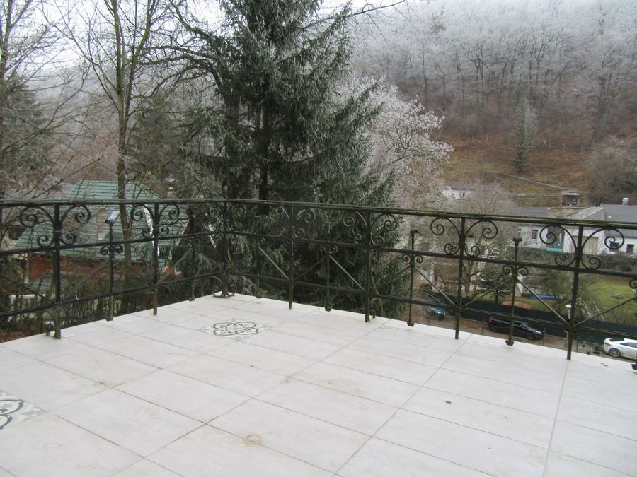 Haus kaufen in Niederösterreich Mödling Kaltenleutgeben 2417/9286 13 Terrasse