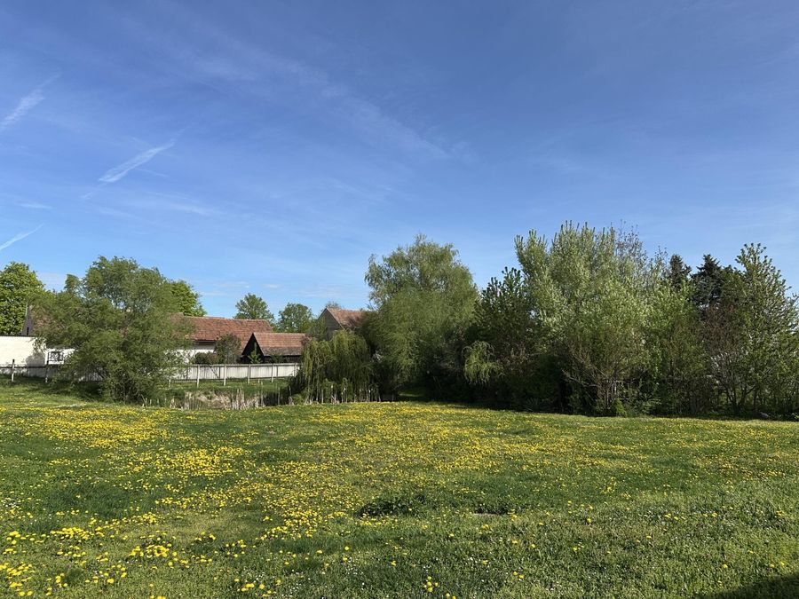 Haus kaufen in Niederösterreich Hollabrunn Glaubendorf 2417/9456 24-1