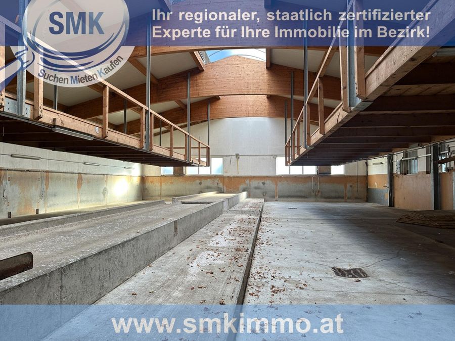 Gewerbeobjekt kaufen in Niederösterreich Hollabrunn Glaubendorf 2417/9457 10