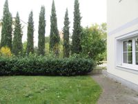 20 Garten
