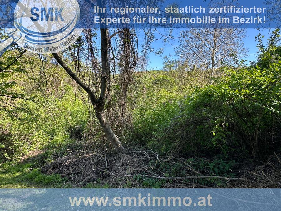 Grundstück kaufen in Niederösterreich Tulln Königstetten 2417/9843 6