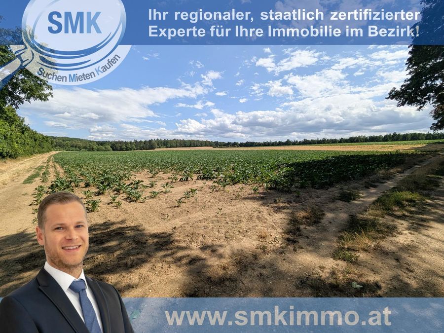 Grundstück kaufen in Niederösterreich Hollabrunn Magersdorf 2417/9845 1