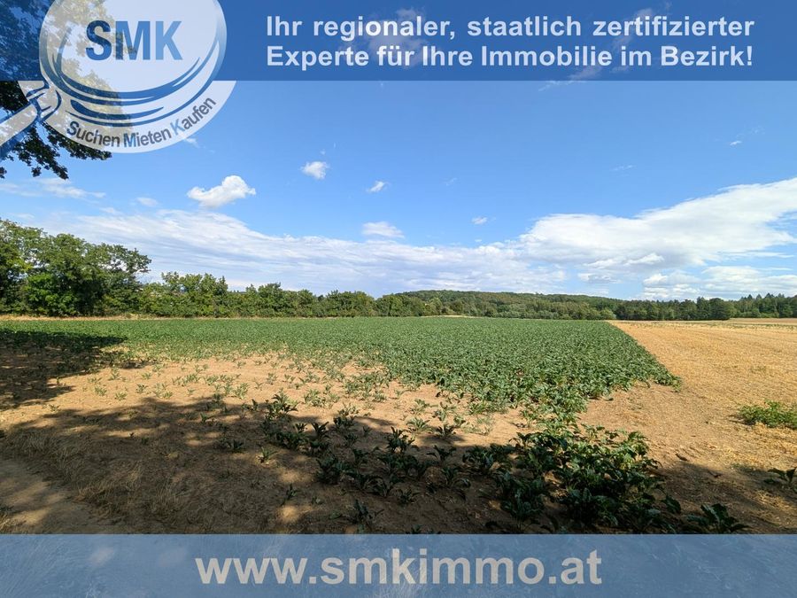 Grundstück kaufen in Niederösterreich Hollabrunn Magersdorf 2417/9845 2