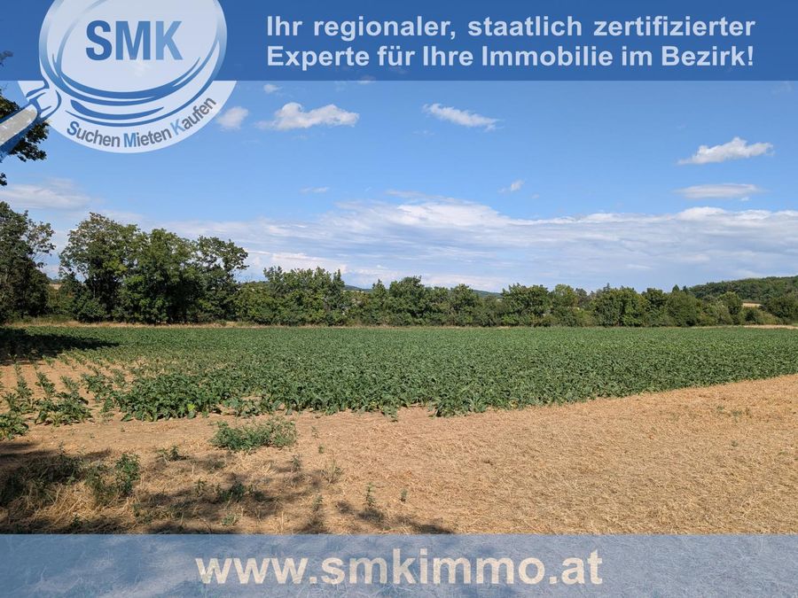 Grundstück kaufen in Niederösterreich Hollabrunn Magersdorf 2417/9845 3