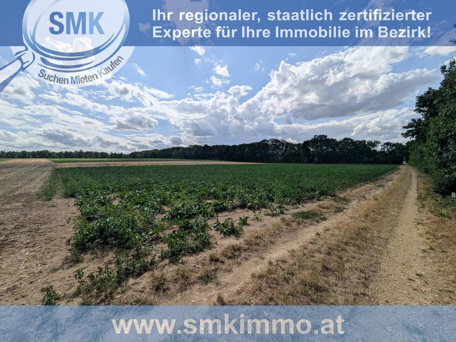 Grundstück kaufen in Niederösterreich Hollabrunn Magersdorf 2417/9845 4