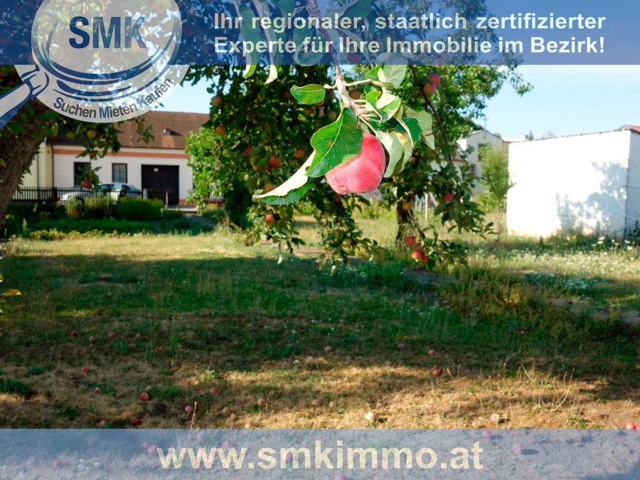 Grundstück kaufen in Niederösterreich Hollabrunn Oberstinkenbrunn 2417/9846 6
