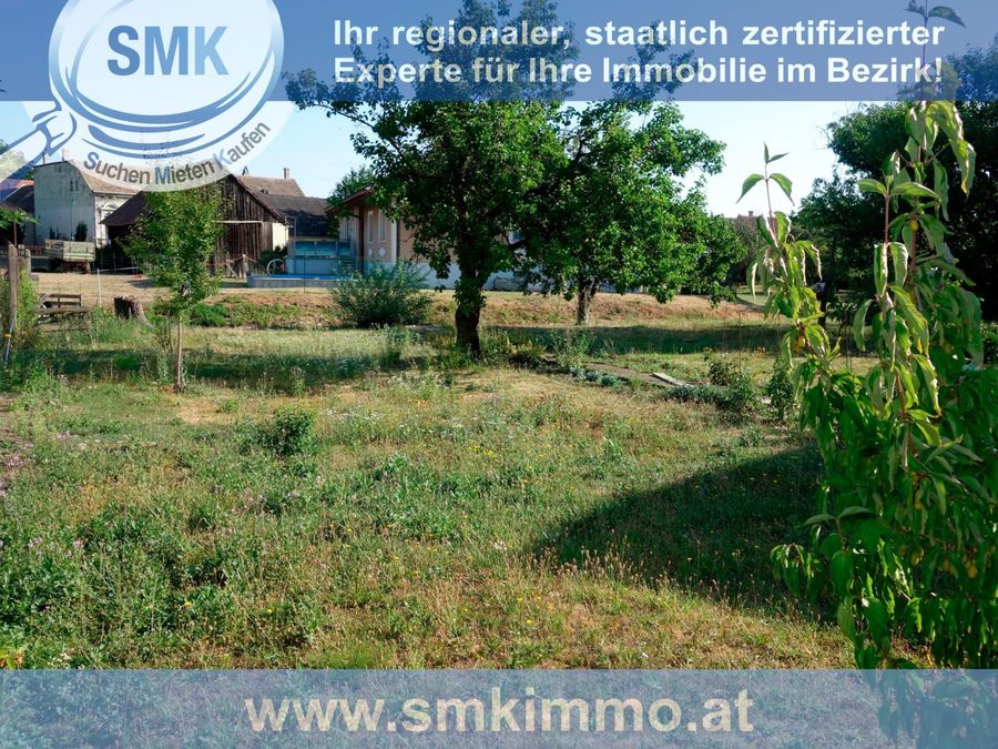 Grundstück kaufen in Niederösterreich Hollabrunn Oberstinkenbrunn 2417/9846 8
