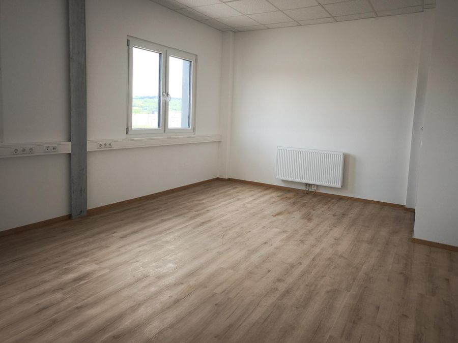 Gewerbeobjekt mieten in Niederösterreich Hollabrunn Ziersdorf 2417/9875 11