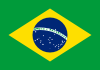 Temporary OTP for an Brazil phone number