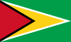 Temporary OTP for an Guyana phone number