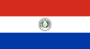 Temporary OTP for an Paraguay phone number
