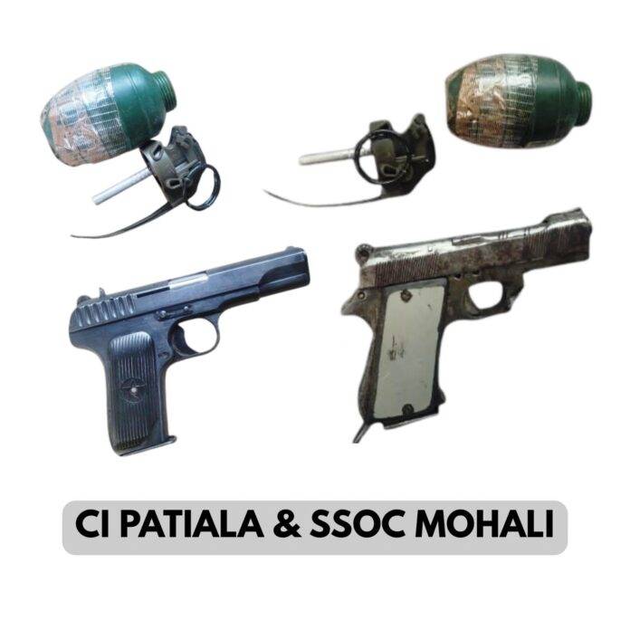 CI PATIALA & SSOC RECOVERED HUGE WEAPONS-HAND-GRANDE-SNE