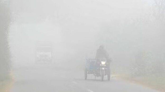 FOGG-AT-PUNJAB-FRESH-IMAGE