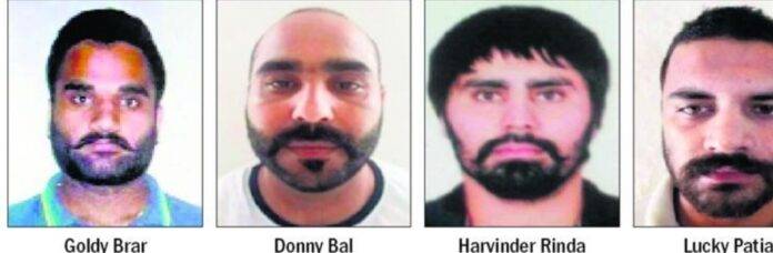 GANGSTER-MOST-WANTED-FILE-IMAGE