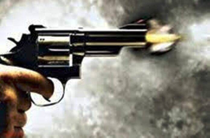 GUNSHOOT FRESH SNE IMAGE