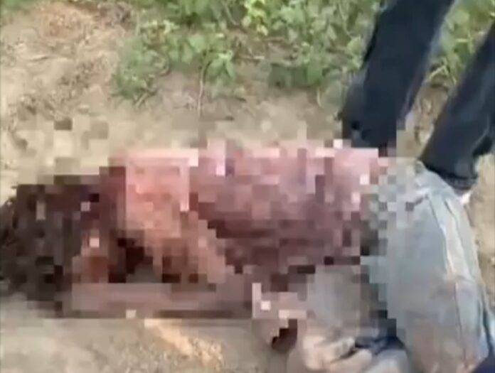 INJURED-YOUTH-AT-LDH.
