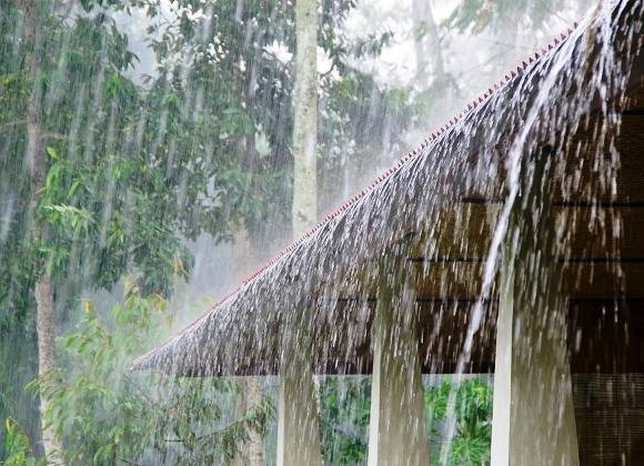 JAMAJAM BARISH SNE IMAGE