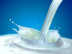 Milk 24.10.22