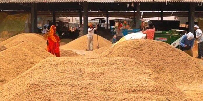 PADDY-SEASON-SNE