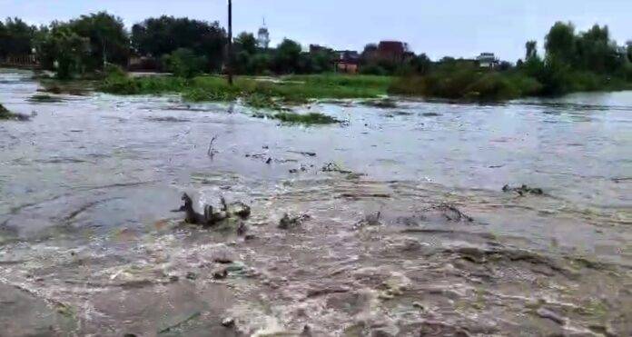 PIND JATTA-SNE