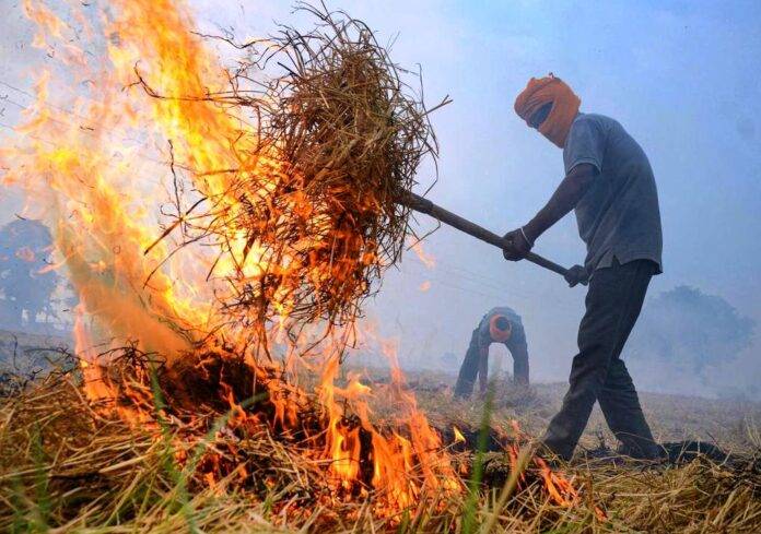 PRALI-BURNT-AT-PUNJAB-SNE