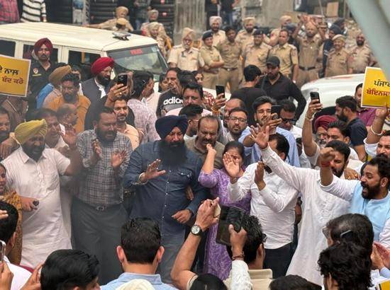 PROTEST-FILE-IMAGE
