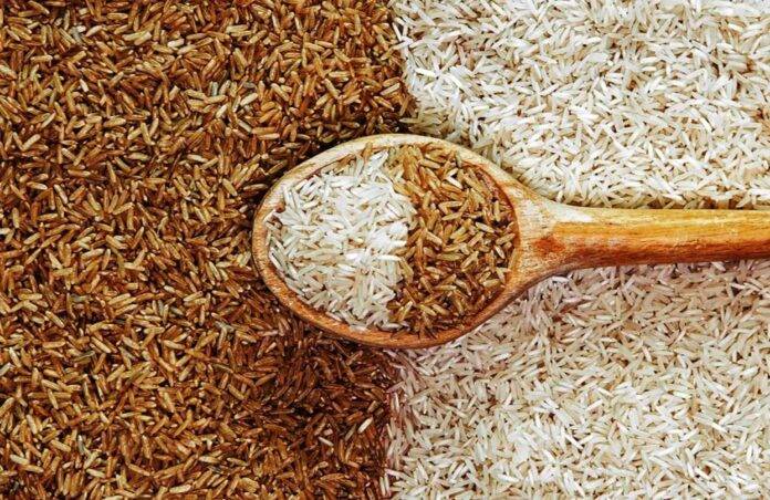 RICE-WHEAT BY SNE NEWS IMAGE