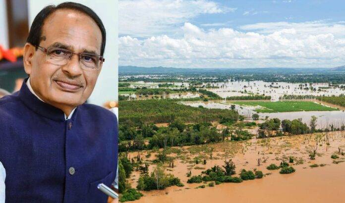 SHIVRAJ CHOHAN-SNE
