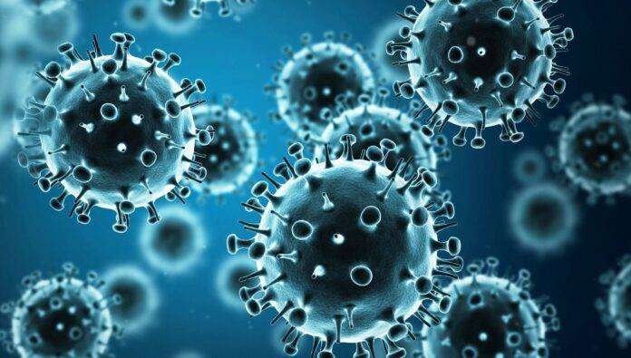 SWINE FLU 6.12.23..1