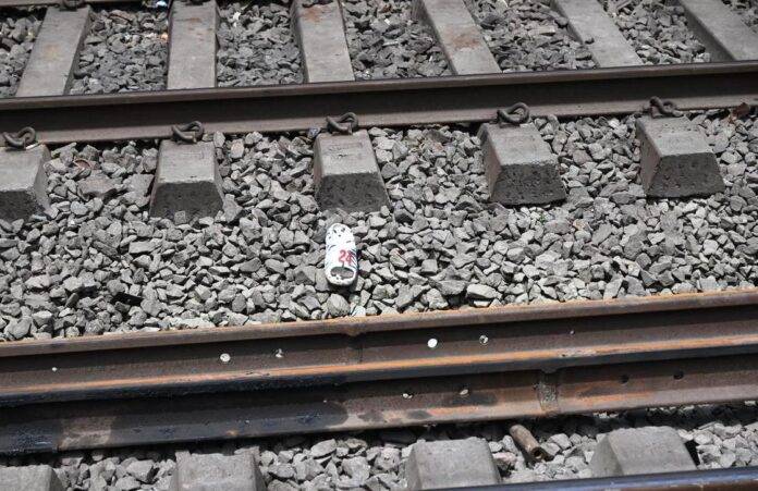 TRAIN-DEATH-SNE