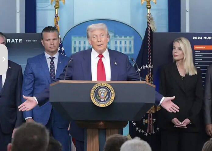 TRUMP-FILE-IMAGE