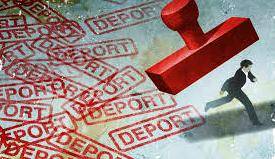 deport sne news image