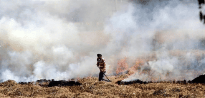 stubble-burning-at-Punjab-file-image-credit-by-sne-news