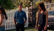 Hawaii Five-0 3. Évad 8. Epizód online sorozat