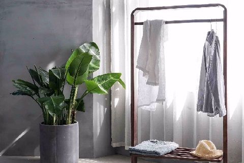 Laundry & Dry Cleaning