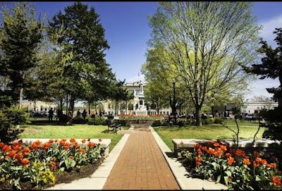A picture of Bentonville