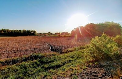 A picture of Columbia City
