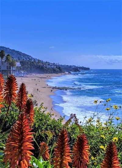 A picture of Laguna Beach