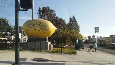 A picture of Lemon Grove