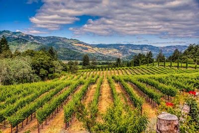 A picture of Napa