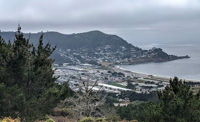 A picture of Pacifica