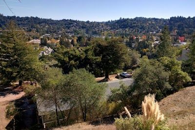 A picture of Scotts Valley