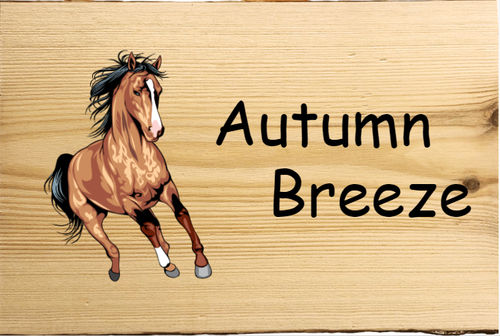 Naamplaatje Paard van hout
