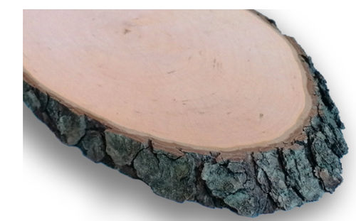 Naambord boomschijf